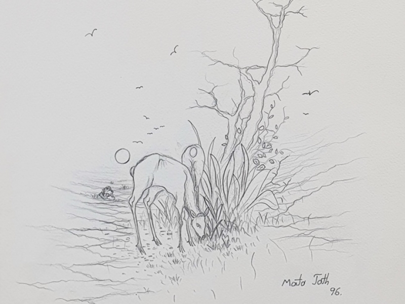 Deer