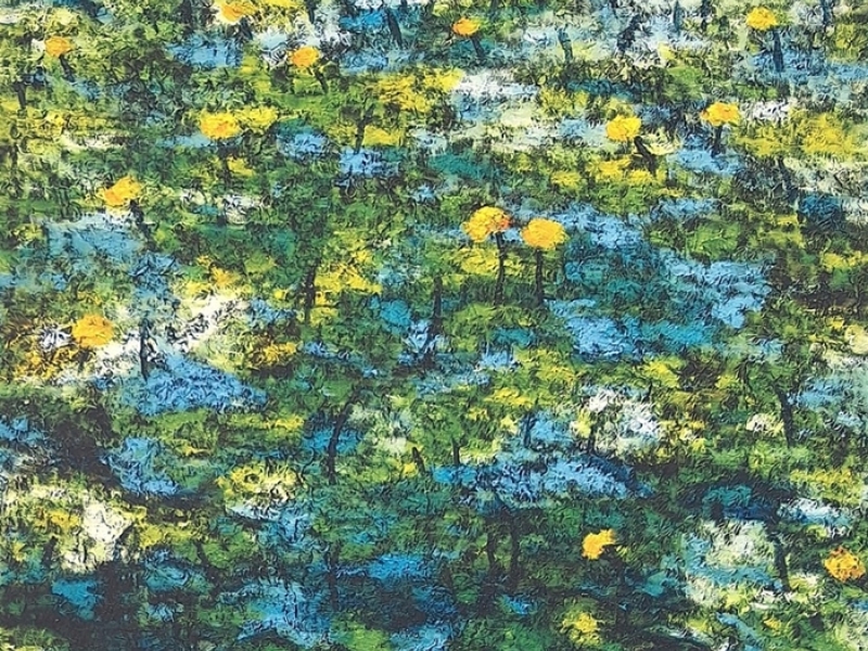 Landscape G