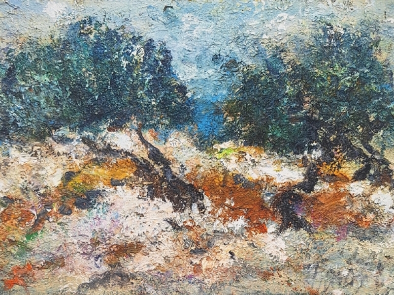 Olive trees 2025