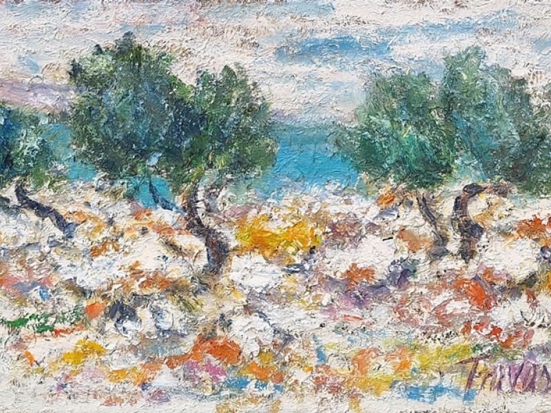 Two olive trees II