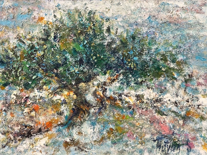 Two olive trees in stones