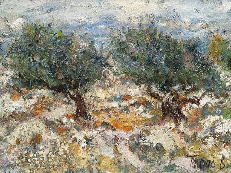 Two olive trees I