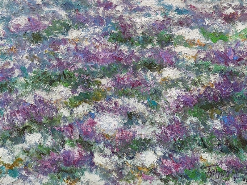 Lavender field V