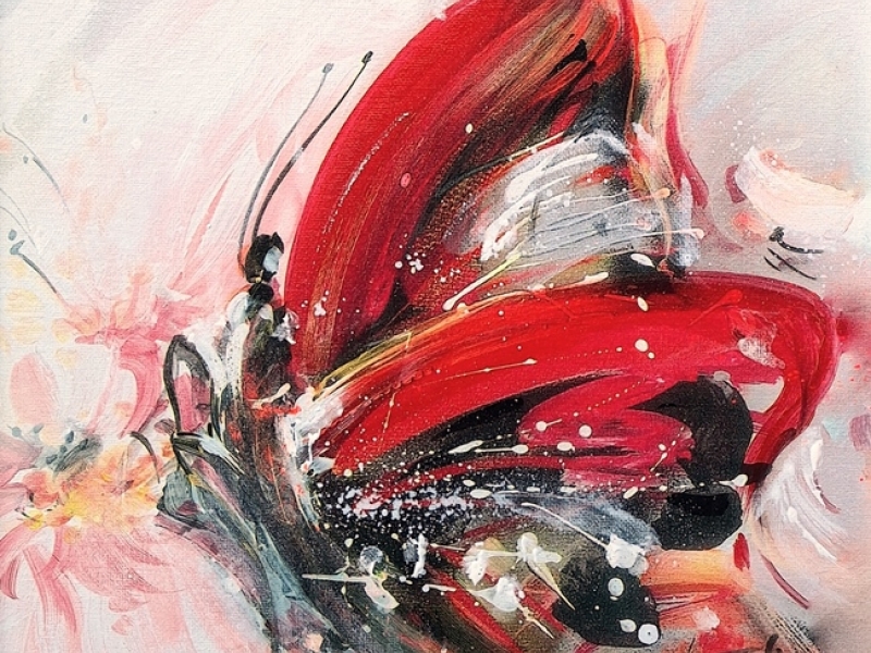 Butterfly 2407