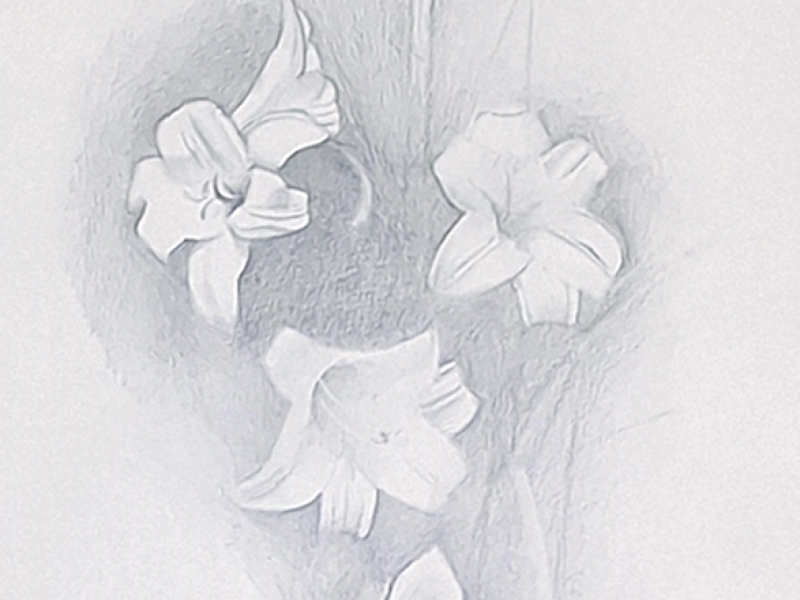 Flowers OL