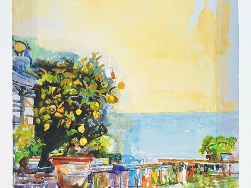 Golden summer V