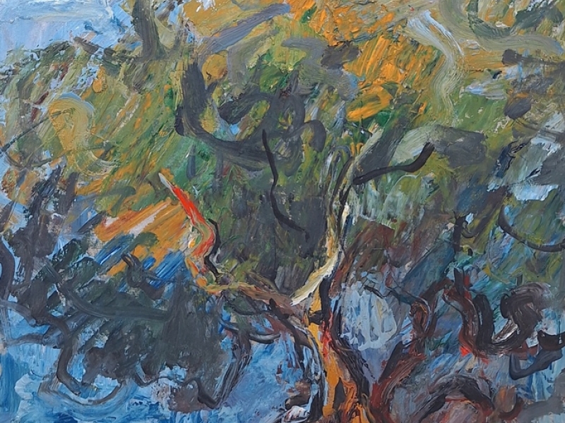 Olive Tree 1711