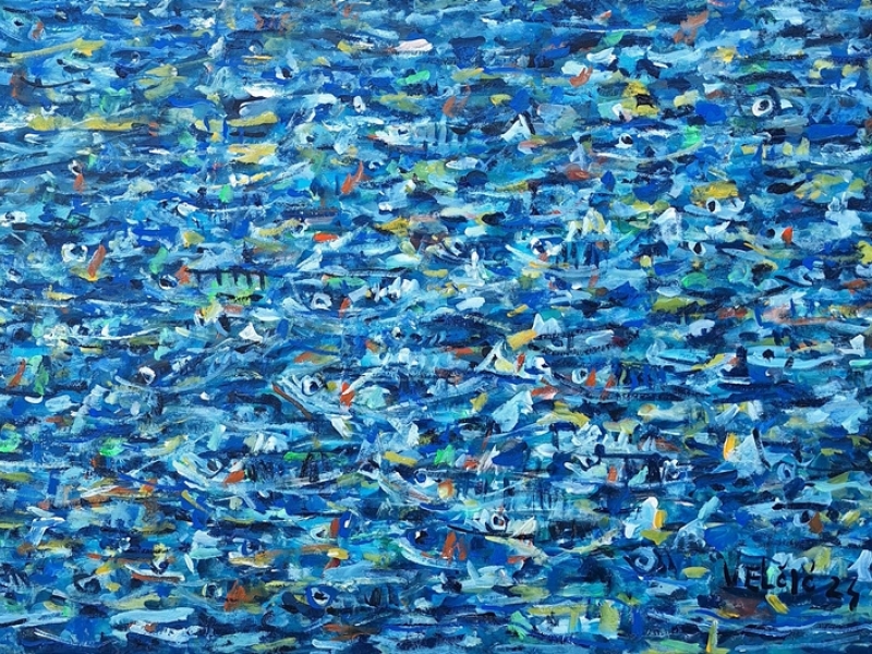 School of fish 2406P