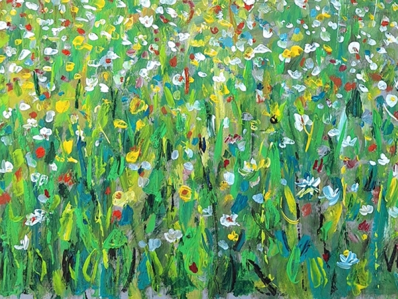 Meadow 2458