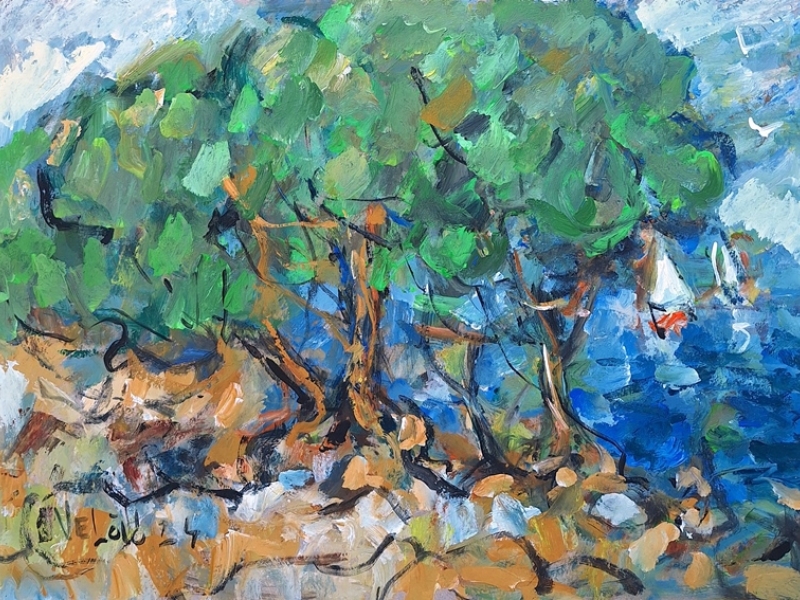 Olive trees by the sea 2464