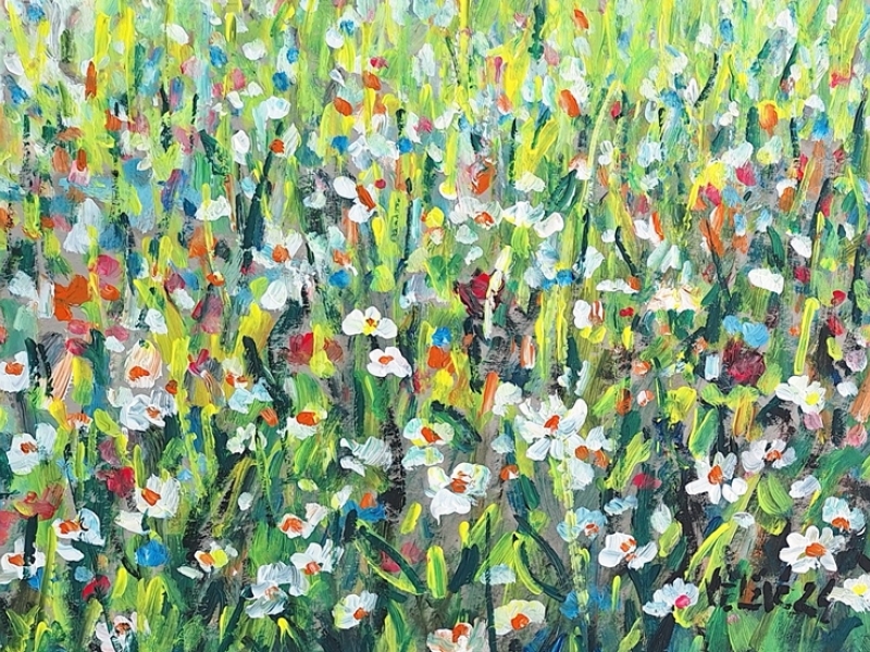 Meadow 2527
