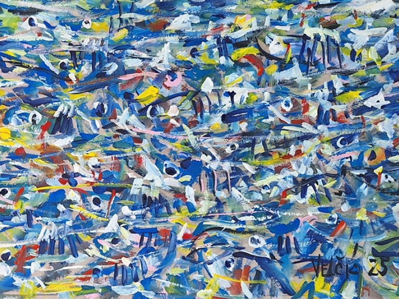 Fish 2529