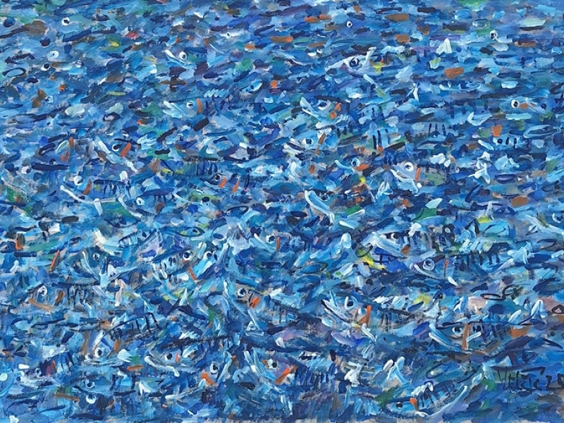 Fish 2535