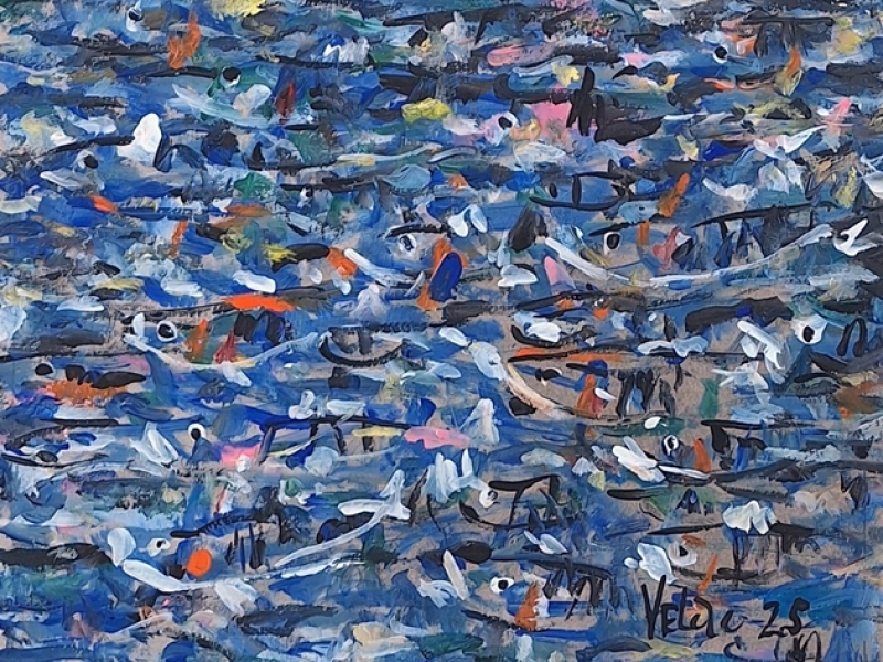 Fish 2554