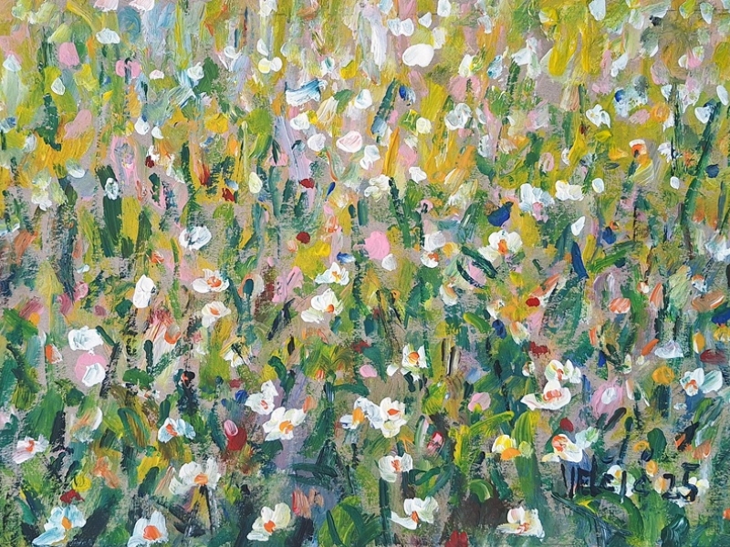 Meadow 2648