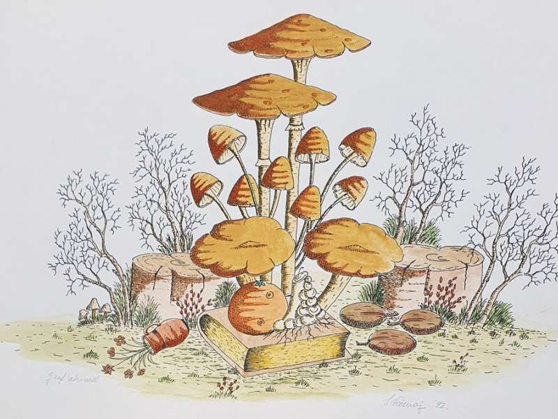 Gljive i knjiga (bez okvira)
