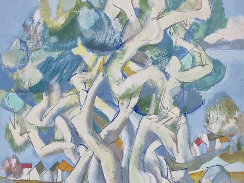 Veža G 95 - Olive tree