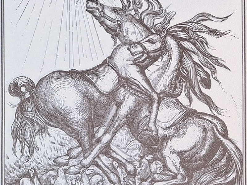 Love of horses 4 G