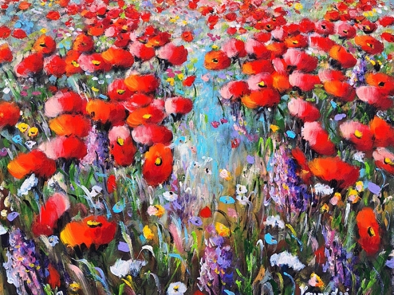 Poppy field 2309