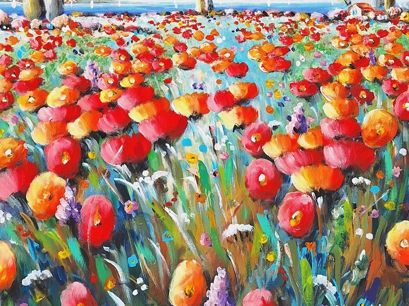 Poppy field 2601