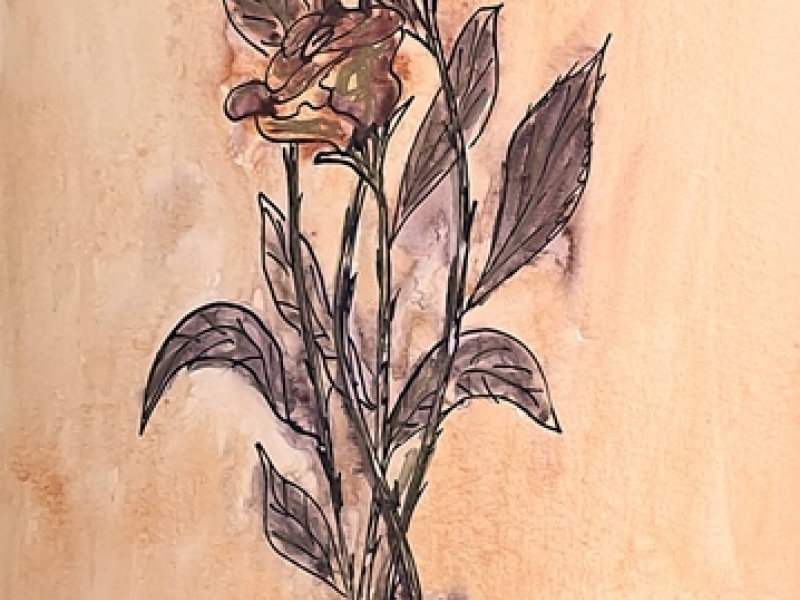 Flowers 1994.