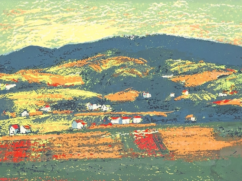Panorama - Ravna Gora