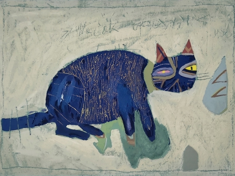 Male cat