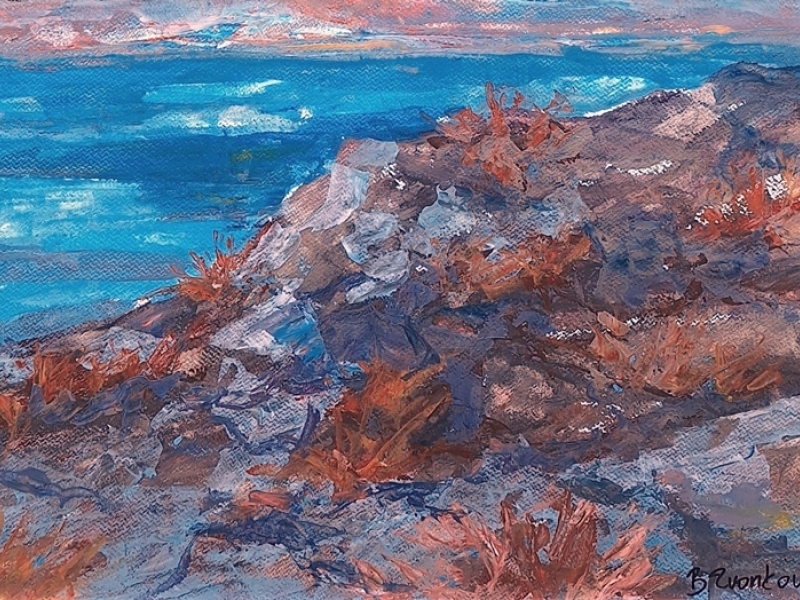 Landscape 1301
