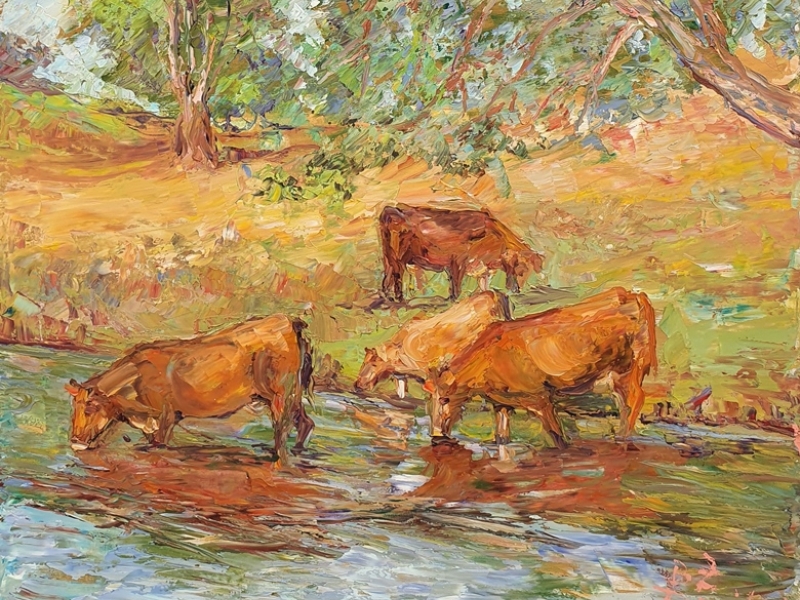 Cows on water