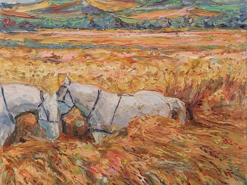Konji u žutom polju (bez okvira)