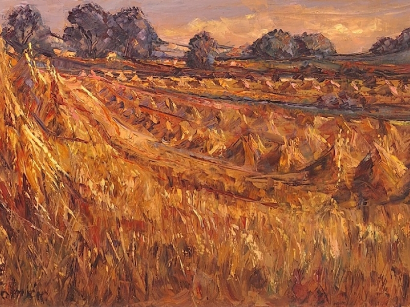 Wheat field