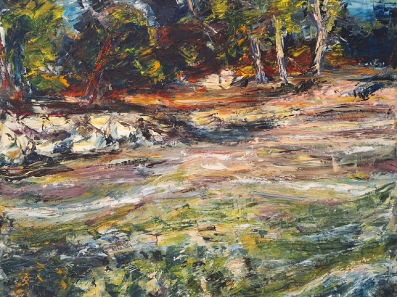 Olive tree orchard XII