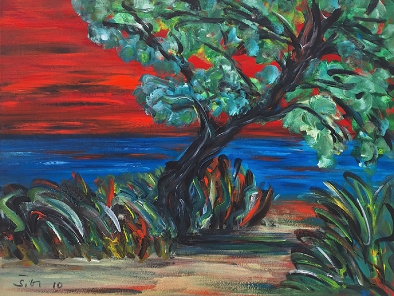 Sunset on Hvar 2010.