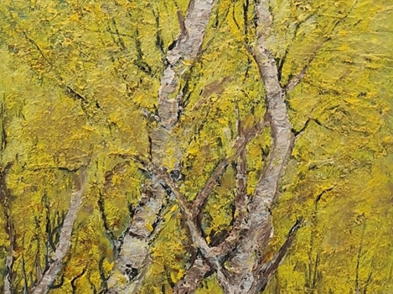Autumn in yellow