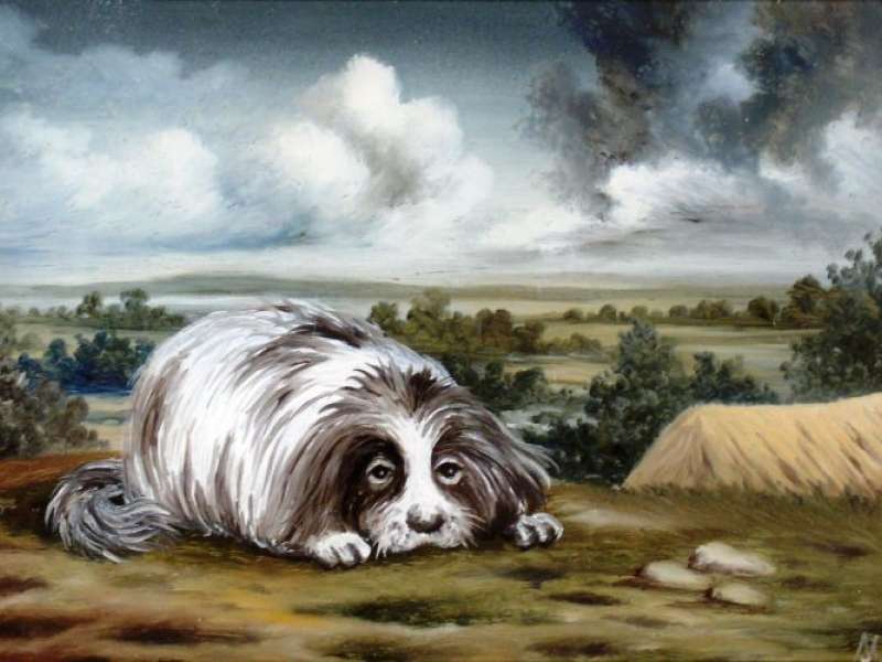 Umjetnik - Pintar Miroslav